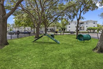 Dog park with agility equipment